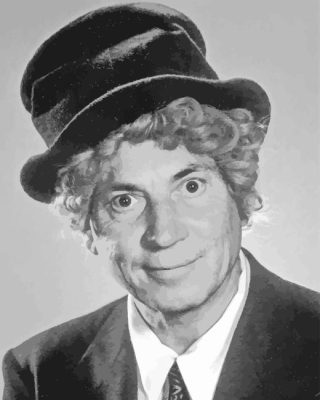 Black And White Harpo Marx Paint By Number