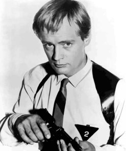 Black And White Illya Kuryakin Paint By Numbers