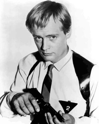 Black And White Illya Kuryakin Paint By Numbers