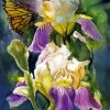 Irises And Butterflies Paint By Numbers