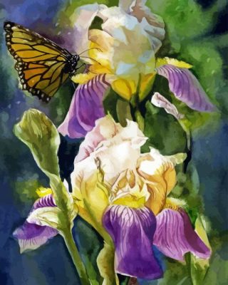 Irises And Butterflies Paint By Numbers