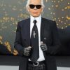 Classy Karl Lagerfeld Paint By Numbers