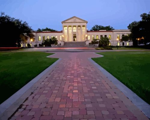 Louisiana State University Paint By Numbers