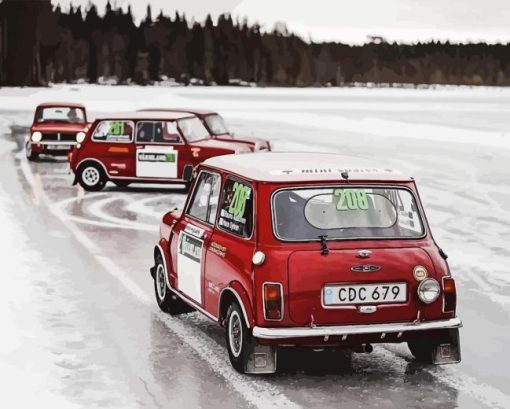 Mini John Cooper Rally Cars Paint By Number