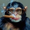 Monkey Smoking Cigar Paint By Numbers