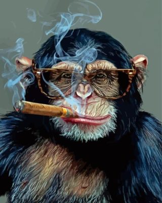 Monkey Smoking Cigar Paint By Numbers