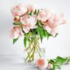 Pink Peonies In Vase Paint By Number