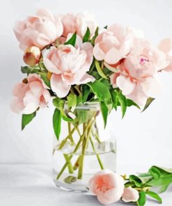 Pink Peonies In Vase Paint By Number