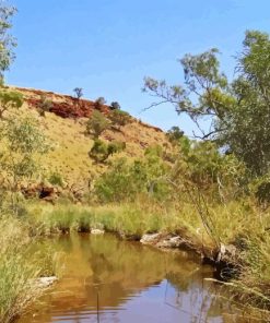 Pilbara River Paint By Numbers