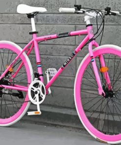 Pink Bicycle Paint By Numbers