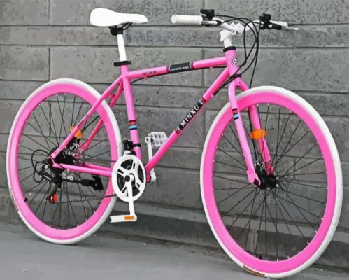 Pink Bicycle Paint By Numbers