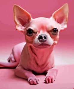 Pink Chihuahua Dog Paint By Numbers