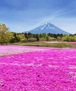 Pink Field Paint By Number