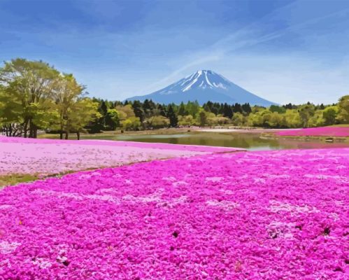 Pink Field Paint By Number