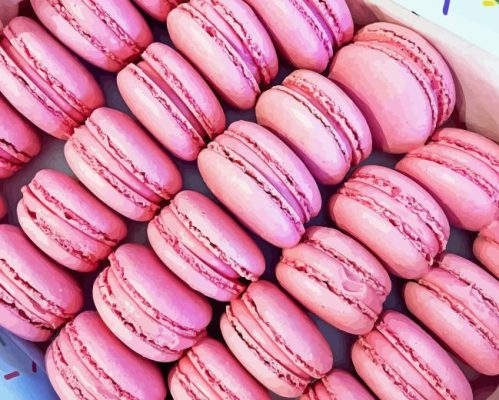 Pink Macarons Paint By Numbers