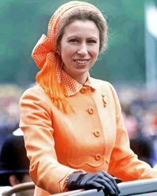 Princess Anne Paint By Numbers