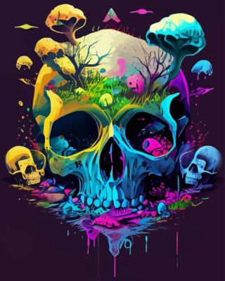 Psychedelic Skull Paint By Numbers