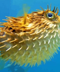 Puffer Fish Underwater Paint By Numbers