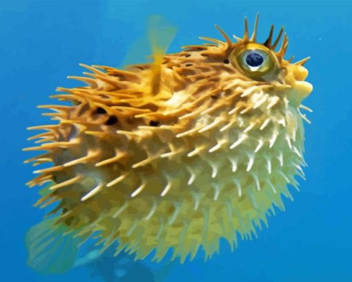 Puffer Fish Underwater Paint By Numbers