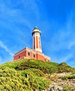 Punta Carena Lighthouse Paint By Number