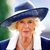 Queen Camilla Paint By Number