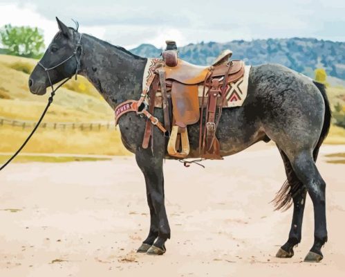 Ranch Horse Paint By Numbers