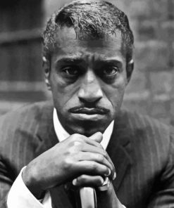 Monochrome Sammy Davis jr Paint By Number