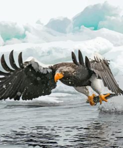 Sea Eagle Catching Fish Paint By Numbers