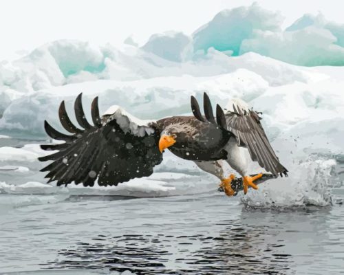 Sea Eagle Catching Fish Paint By Numbers