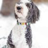 Sheepadoodle In Snow Painting By Numbers