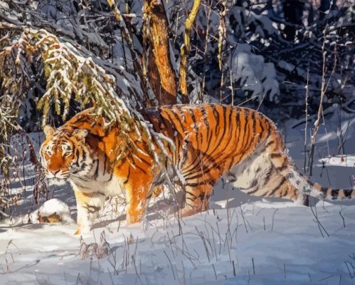 Siberian Tiger In Snow Paint By Number