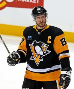 Sidney Crosby Player Paint By Numbers