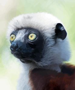 Close Up Sifaka Paint By Numbers