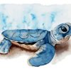 Small Turtle Paint By Numbers