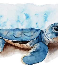 Small Turtle Paint By Numbers