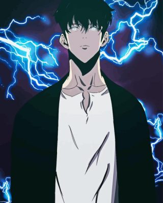 Sung Jin Woo Anime Character Paint By Number