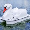 White Swan Boat Paint By Number