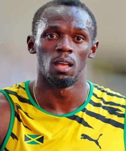 Usain Bolt Paint By Number