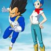 Vegeta And Bulma Dragon Ball Paint By Numbers