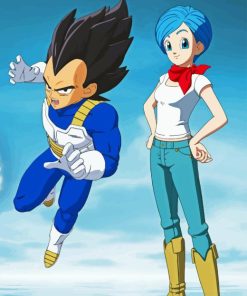 Vegeta And Bulma Dragon Ball Paint By Numbers