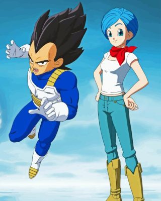 Vegeta And Bulma Dragon Ball Paint By Numbers