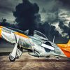 Warbird Aircraft Paint By Number