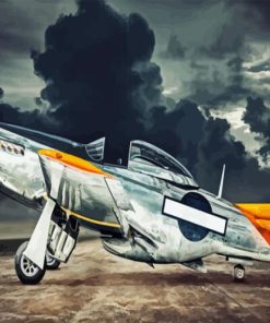 Warbird Aircraft Paint By Number