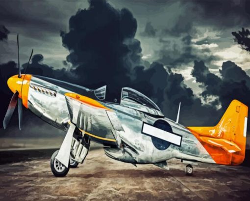 Warbird Aircraft Paint By Number