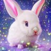 White Baby Bunny Paint By Number