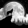 Black And White Wolf With Moon Paint By Numbers