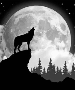 Black And White Wolf With Moon Paint By Numbers