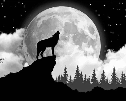 Black And White Wolf With Moon Paint By Numbers