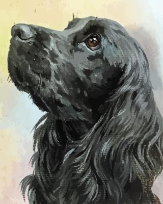 Black English Spaniel Head Paint By Numbers