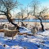 Blackface Sheep In Snow Paint By Numbers